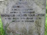 image of grave number 100147